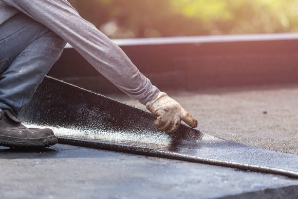 Professional Interior Drainage System technician working in Tyner, IN